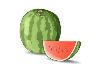 Vector illustration  watermelon fruit with shadow. Image  ripe watermelon and  slice on  white background.