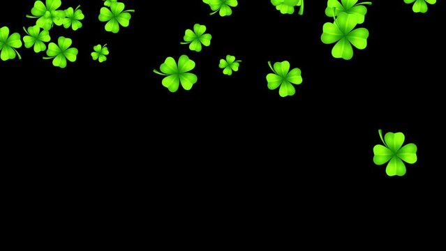 Falling shamrock blossoms. Four-leaf green clovers. Lucky charm leaves. Overlay. Black background. 25fps