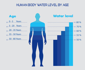 Difference percentage, Human body water level,anatomy.Water body balance by age,vector, infographic,  fluid balance in adult person, Male silhouette isolated flat, illustrtion,H2O nutrition, self care