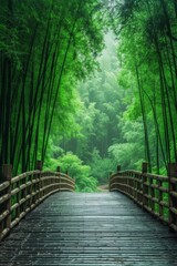 Bamboo forest in dramatic colors