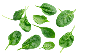 fresh green spinach Amaranth leaf isolated on transparent white background.