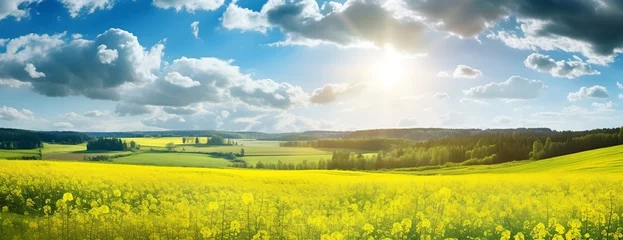Poster Green field with sunlight, nature landscape © inspiretta