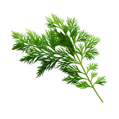 a brunch of Hemlock needle isolated on white background