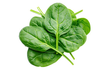 Fototapeta premium Set of salad leaves. Many leaves isolated on transparent white background.