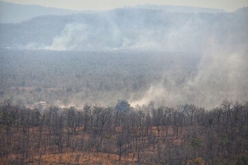 Burning forests for agricultural purposes results in the generation of PM 2.5.