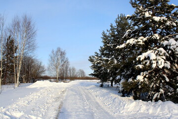 Winter landscape with trees under snow and road.