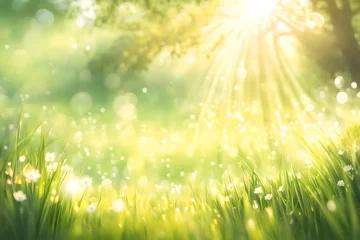 Fotobehang Soft defocused spring background with a sunburst and bokeh over lush green grass © MISHAL