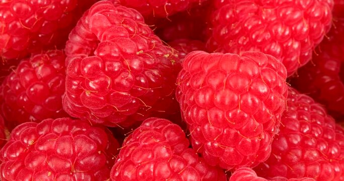 Extreme close up video of fresh and red raspberries. Raspberries are healthy and a perfect superfood