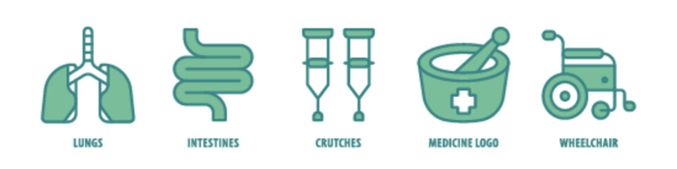 Wheelchair, Medicine Logo, Crutches, Intestines, Lungs editable stroke outline icons set isolated on white background flat vector illustration.