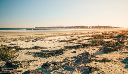 Nahant Beach at Sunset