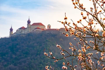 Fotobehang Famous historic Melk abbey and apricot branches in Wachau valley, Austria © Kotangens