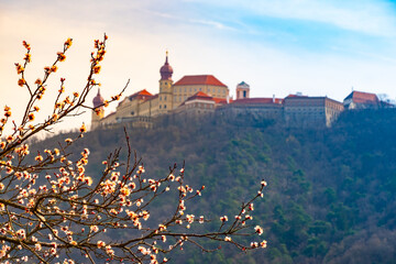 Famous historic Melk abbey and apricot branches in Wachau valley, Austria