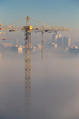 Cranes on a construction site. Foggy urban scene. Thick fog in the morning covering a residential district.