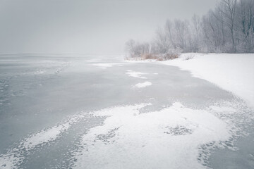 Winter scenery with a frozen lake and snowy shore. Trees and reeds with the rime on a coast. Winter foggy landscape. - 737384460