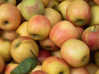 Bulk apples displayed for sale at the market