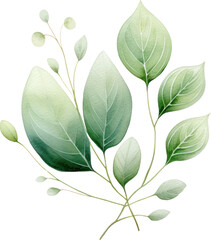 Set of watercolor green leaves elements. Collection botanical decoration suitable for Wedding Invitation, Greeting card.