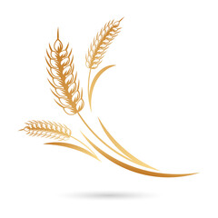 Spikelets of wheat, rye, barley. Golden icon, elegant design, vector
