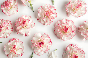 pink and white carnations arranged round on a white b
