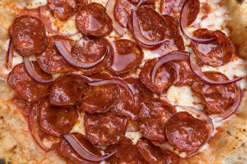 Pizza with salami and mozzarella cheese