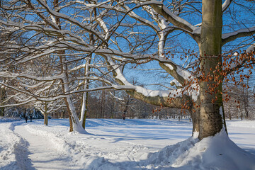 Gotha - Winterwanderung im Park