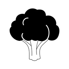 Black and white linear broccoli icon. Vector illustration