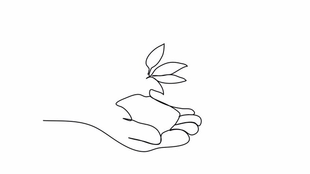 Plant in hands, one line drawing animation. Video clip with alpha channel.