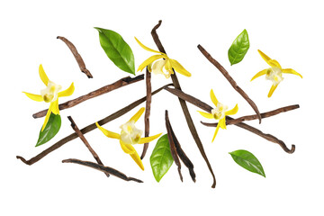 Vanilla pods, yellow flowers and green leaves falling on white background