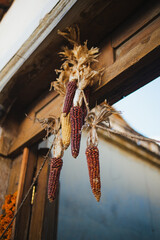 Colored corn hanging from the top of the door as decoration in San Cristobal de las Casas, Mexico
