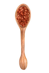 Wooden spoon with coffee beans.Top view.Coffee composition with Robusta and Arabica flavors.Illustration with watercolor and marker. Coffee day.Hand drawn isolated art.