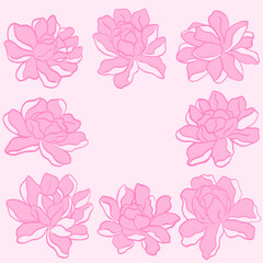 Set of flower, flower vector