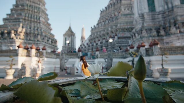white lotus flower in focus with the blurry background of Wat Arun, a well-known Buddhist temple in Bangkok, Thailand. A person is sitting on the temple steps, adding a sense of scale and human presen