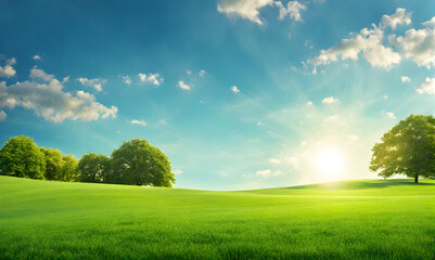 Wide lawn trimmed with precision under a blue sunny sky