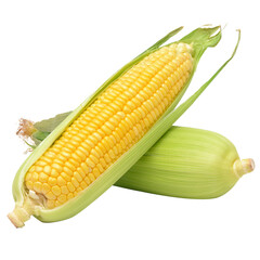 Corn transparent background