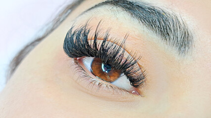 Close up of eye with eyelash extensions ,beauty salon treatment.