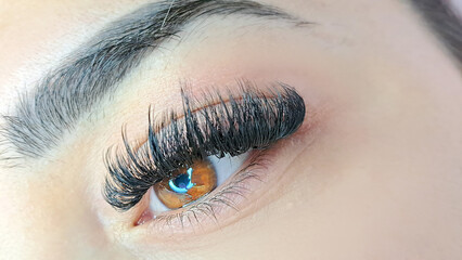 Close up of eye with eyelash extensions ,beauty salon treatment.