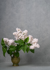 A large bouquet of white lilacs in a dark vase on a gray background. Place for text. Still life