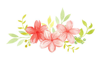 Watercolor composition of a bouquet of pink flowers with green leaves and berries. Hand-drawn illustration for the design and decoration of greeting cards, invitations, decorations.