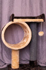 Playground for cats in the house closeup