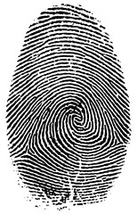 fingerprints isolated on white  SVG vector illustration
