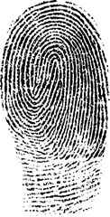 fingerprints isolated on white  SVG vector illustration
