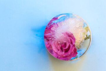 Delicate pink rose frozen in a perfect sphere of ice water. Graphic resource.