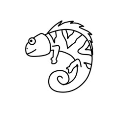 Hand Drawn Chameleon Doodle 