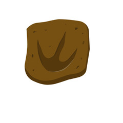 Footprint of A Fosil Dinosaurus
