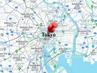 This is a clear and straightforward illustrated map of Tokyo, Japan. It highlights major areas and landmarks with simple icons, making it easy to identify key locations. The map uses soft colors and h