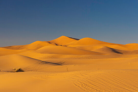sand dunes in the desert