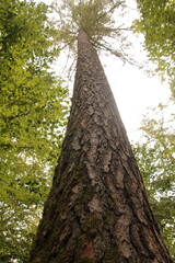 Naklejka premium Perspektiven Wechsel, erst klein und dann doch ganz groß.
