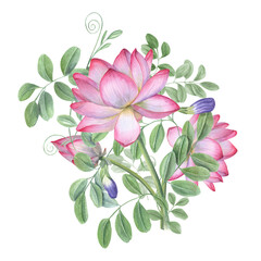 Bouquet of blue clitoria ternatea and lotus. Blooming flowers, green leaves. Waterlilies, wisteria. Bud, flower, leaf, stem. Watercolor illustration for greetings label design