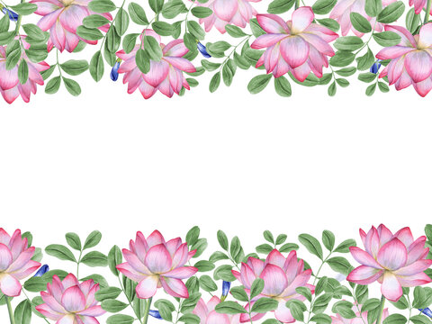 Horizontal frame pink white lotus, green leaves. Blooming Water Lily, wisteria leaf. Indian lotus, anchan leaf, sacred lotus. Watercolor illustration. Copy space for text. For greetings, invitations.