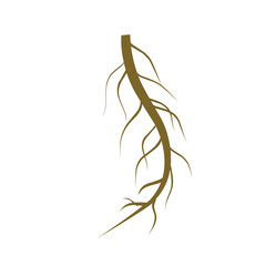 Single Root 