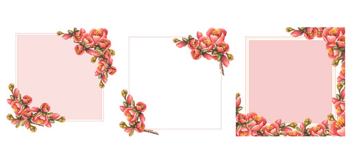 Watercolor painted frame card set. Spring flowers, buds, leaves of quince, apple Japanese pear branch of blooming tree Template illustration Invitation for wedding, birthday Isolated white background.